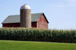 Farm Liability Insurance in Albia, Des Moines, Iowa
